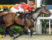 Emblessed<br>Photo by Singapore Turf Club